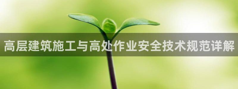 新航娱乐有限公司怎么样