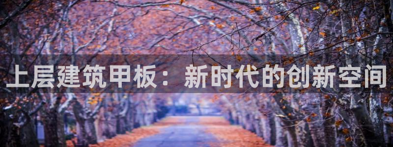 新航新客舱机上娱乐银