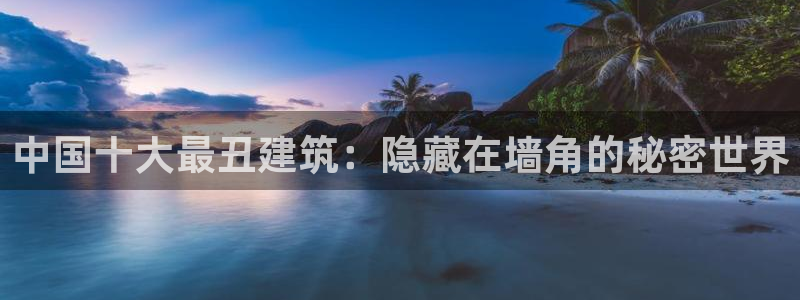 新航娱乐平台官网