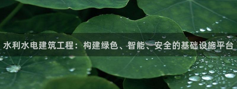 新航娱乐集团最新消息