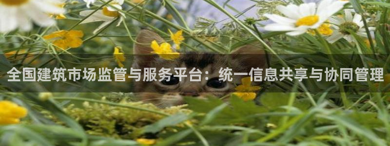 新航娱乐最新开户信息