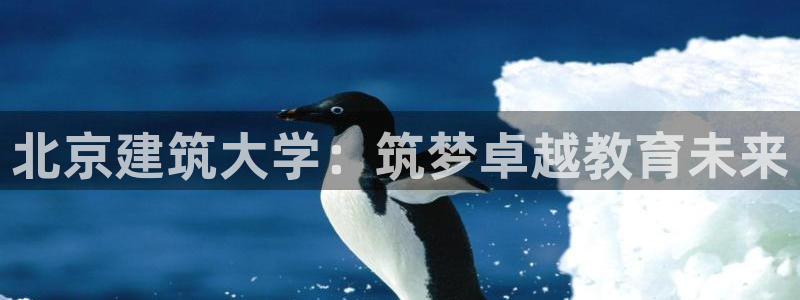 新航娱乐入新航娱乐怎么样