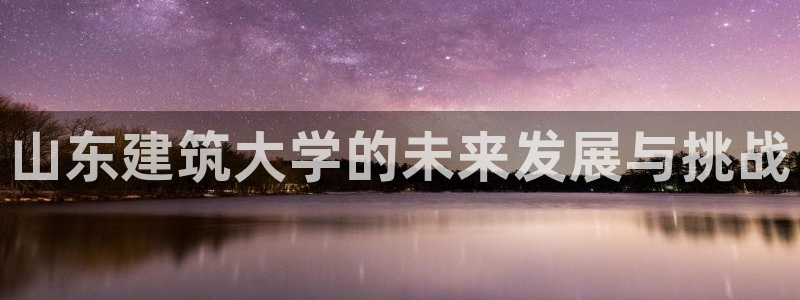 新航娱乐公司简介图片