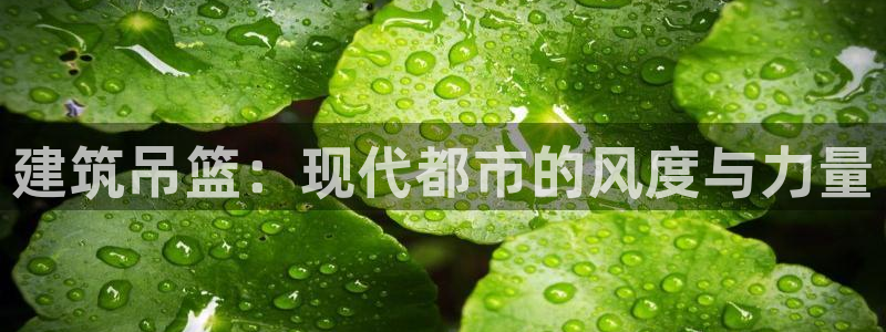 中国新航娱乐官网入口