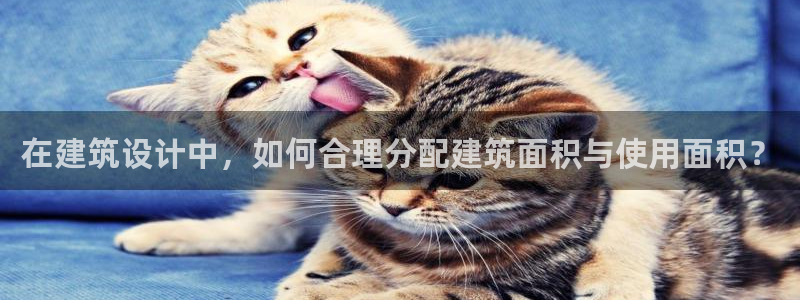 高州新航线娱乐俱乐部