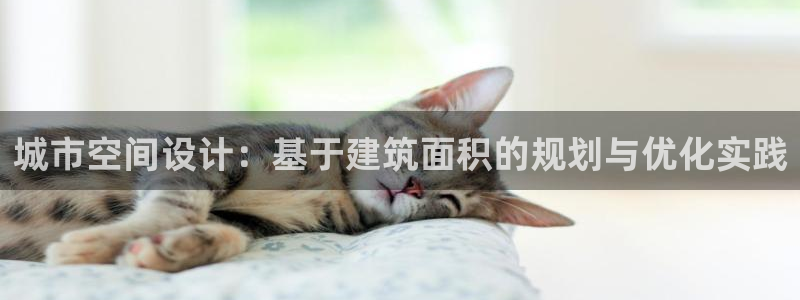 新航娱乐主管
