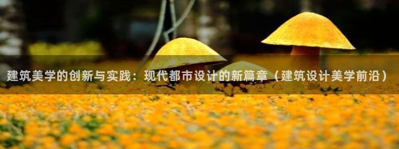 邯大新航娱乐