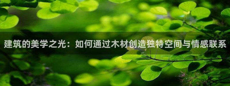新航城娱乐传媒有限公司