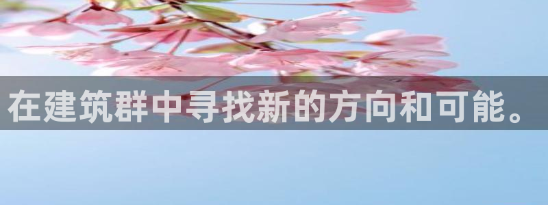 新航海大酒店娱乐城：在建筑群中寻找新的方向和可能。