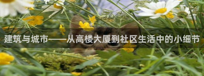 新航海娱乐会所