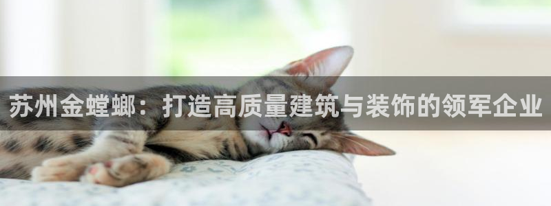 新航娱乐被投诉的原因