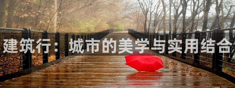 新航娱乐主管是谁