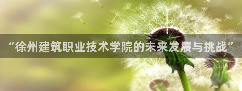 新航娱乐官网登录