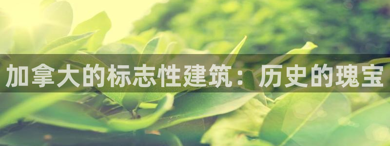 新航娱乐安卓版下载