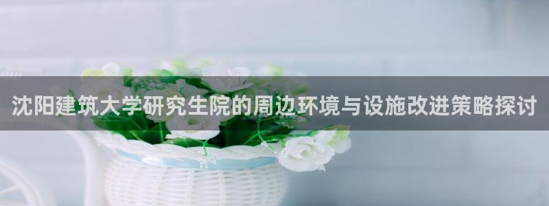 新航娱乐平台登录蒋渭水：沈阳建筑大学研究生院的周边环境与设施改进策略探讨