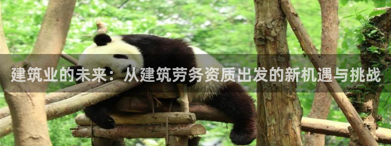 新航娱乐有限公司地址：建筑业的未来：从建筑劳务资质出发的新机遇与挑战