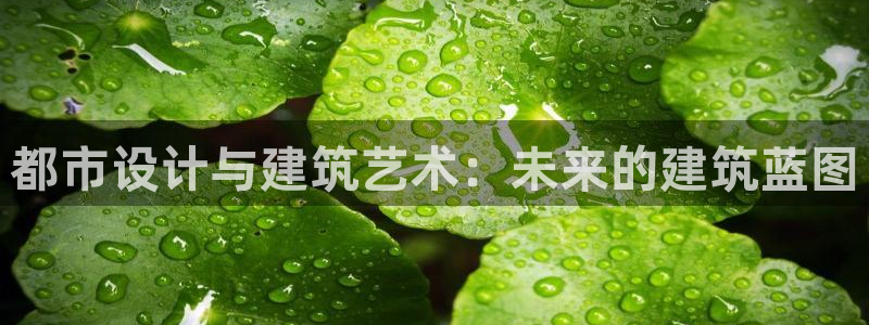 新航娱乐公司招聘：都市设计与建筑艺术：未来的建筑蓝图