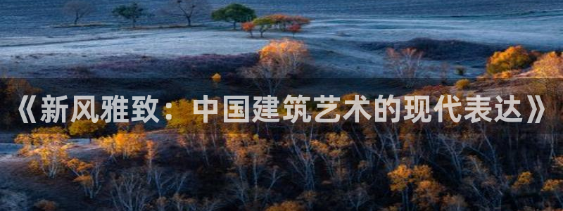 新航娱乐传媒怎么样知乎：《新风雅致：中国建筑艺术的现代表达》