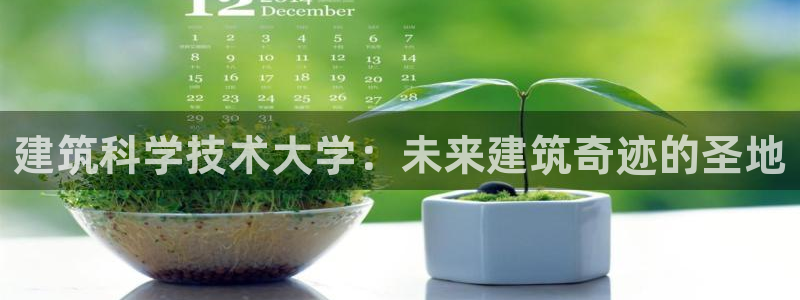 新航娱乐是正规平台吗