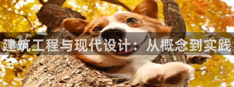 兰山新航线娱乐