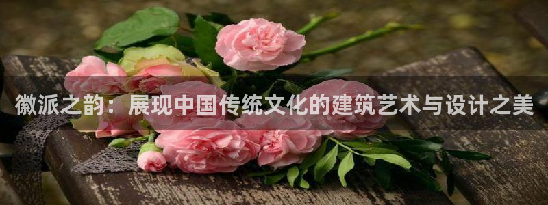 新航娱乐代理