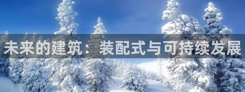 新航娱乐官方