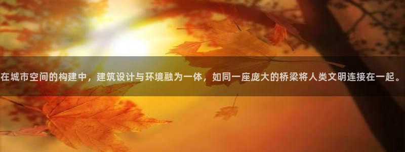 新航娱乐公司地址电话