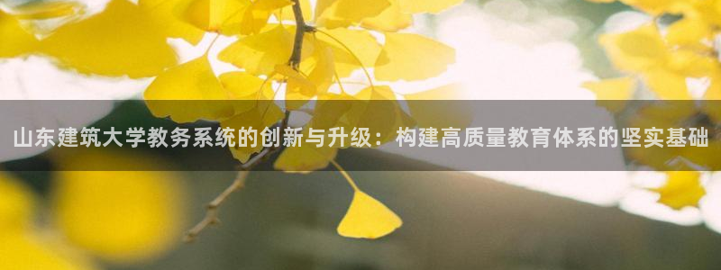 新航国际娱乐