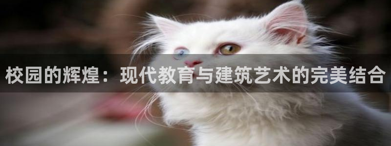 新航娱乐系统设置：校园的辉煌：现代教育与建筑艺术的完美结合