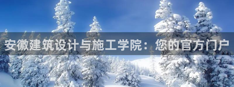 新航娱乐公司简介图片