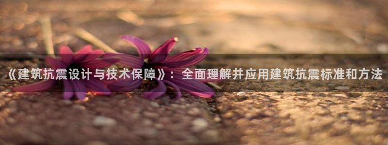 新航娱乐属于什么档次