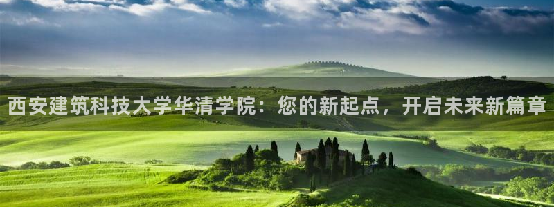 新航娱乐公司招聘信息网