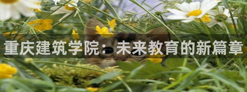 新航娱乐app下载安装：重庆建筑学院：未来教育的新篇章