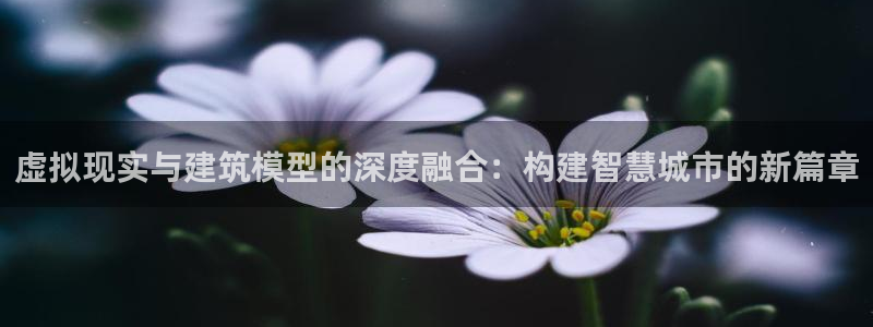 武汉中创新航娱乐室